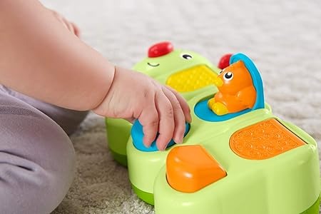 Lagarta de Atividades, Fisher Price, Multicolorido, GCM80, Mattel